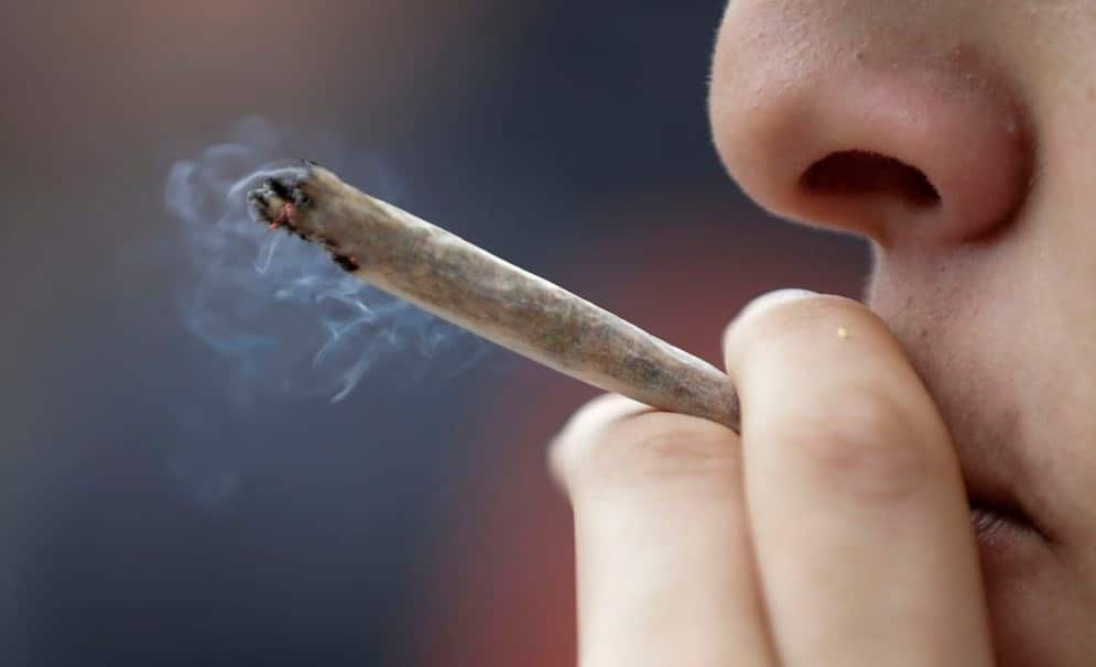 Cannabis