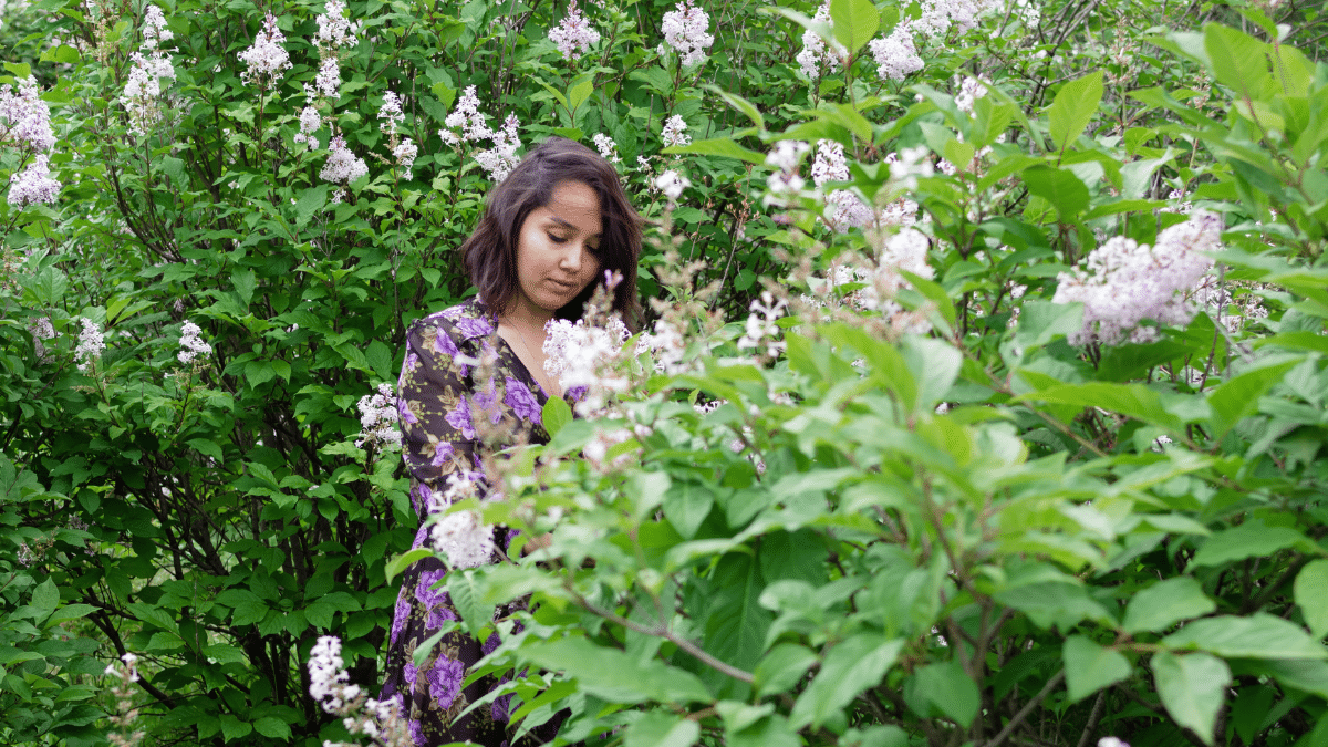 Mini Lilas des Indes, l'incroyable arbuste