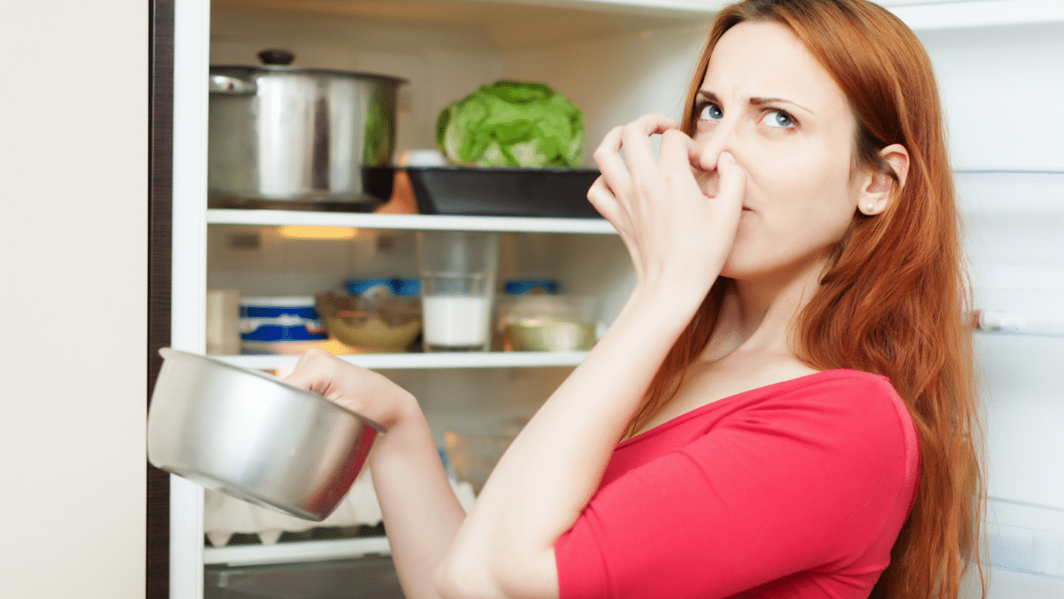 Mauvaise odeur dans le frigo